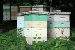 Beehives1-e1524779289832