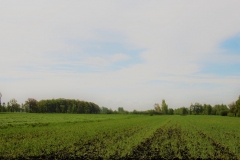 heirweg9-e1525173239816